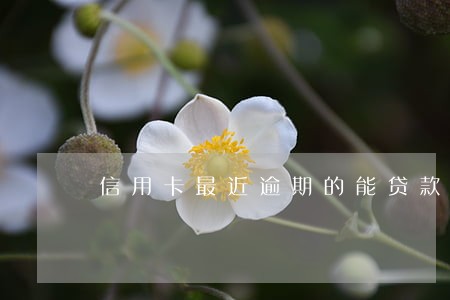 信用卡最近逾期的能贷款吗