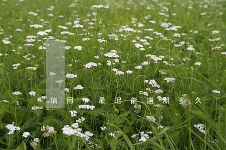 信用卡最迟能逾期多久 信用卡最迟能逾期多久