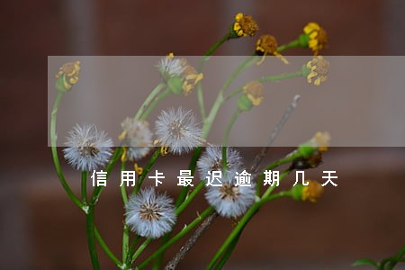 信用卡最迟逾期几天 信用卡最迟逾期几天