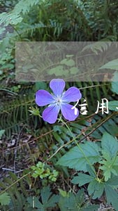 信用卡最迟逾期还款两次 信用卡最迟逾期还款两次