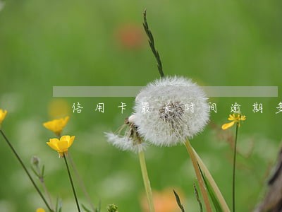 信用卡最长时间逾期多久 信用卡最长时间逾期多久