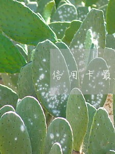 信用卡最长逾期 信用卡最长逾期