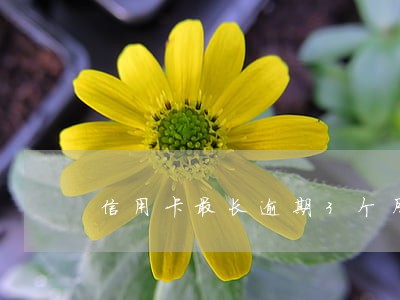 信用卡最长逾期3个月征信报告