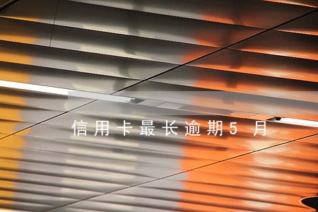 信用卡最长逾期5月 信用卡最长逾期5月