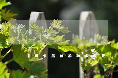 信用卡最长逾期多少天