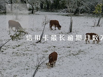 信用卡最长逾期月数2什么意思