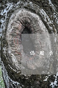 信用卡最高可以逾期多久 信用卡最高可以逾期多久