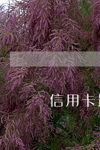 信用卡最高逾期总额是什么