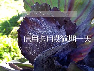 信用卡月费逾期一天 信用卡月费逾期一天
