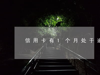 信用卡有1个月处于逾期状态