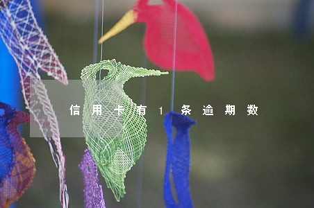 信用卡有1条逾期数 信用卡有1条逾期数