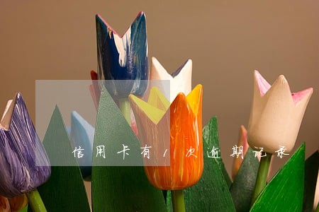 信用卡有1次逾期记录