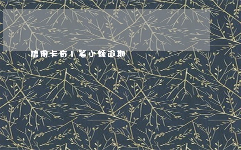 信用卡有1笔小额逾期