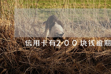 信用卡有200块钱逾期怎么办 信用卡有200块钱逾期怎么办