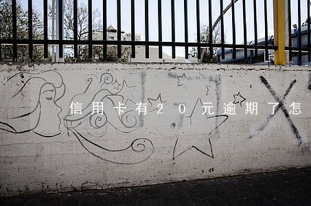 信用卡有20元逾期了怎么办 信用卡有20元逾期了怎么办