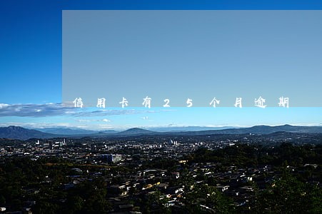 信用卡有25个月逾期 信用卡有25个月逾期
