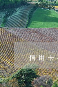信用卡有2个月逾期 信用卡有2个月逾期
