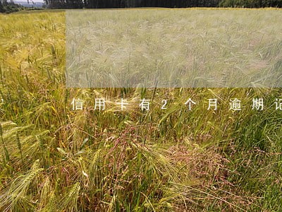 信用卡有2个月逾期记录吗 信用卡有2个月逾期记录吗