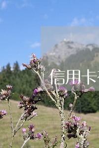 信用卡有2次小额逾期 信用卡有2次小额逾期