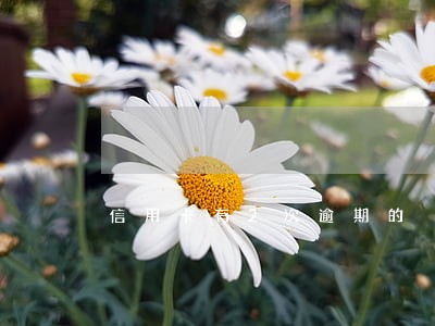 信用卡有2次逾期的 信用卡有2次逾期的