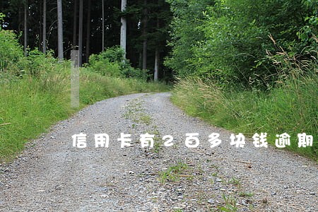 信用卡有2百多块钱逾期上征信不 信用卡有2百多块钱逾期上征信不