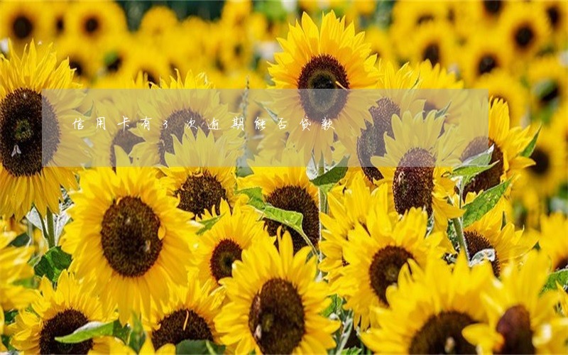 信用卡有3次逾期能否贷款 信用卡有3次逾期能否贷款