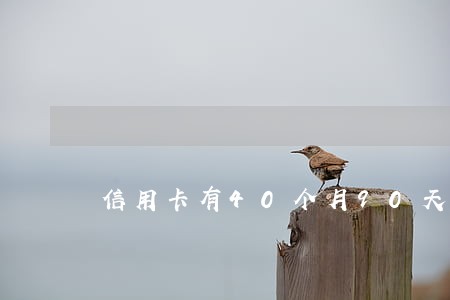 信用卡有40个月90天逾期
