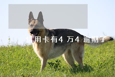 信用卡有4万4逾期了 信用卡有4万4逾期了