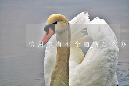 信用卡有4个逾期怎么办 信用卡有4个逾期怎么办
