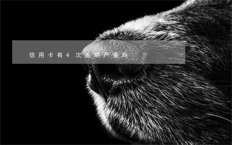 信用卡有4次逾期严重吗 信用卡有4次逾期严重吗