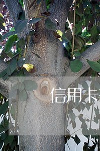 信用卡有7次逾期签证 信用卡有7次逾期签证