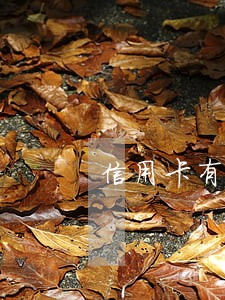 信用卡有9条逾期 信用卡有9条逾期