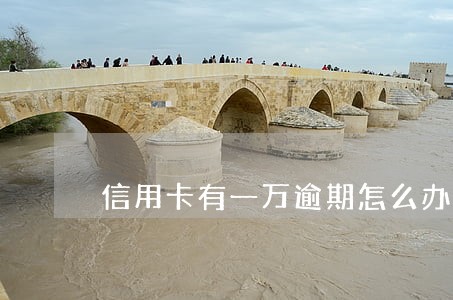 信用卡有一万逾期怎么办
