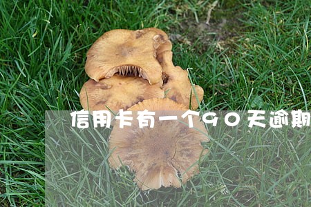 信用卡有一个90天逾期的 信用卡有一个90天逾期的