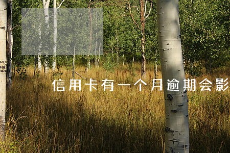 信用卡有一个月逾期会影响什么 信用卡有一个月逾期会影响什么