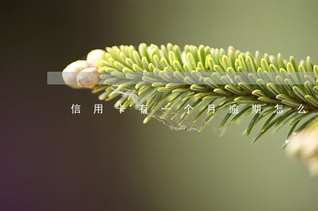 信用卡有一个月逾期怎么办 信用卡有一个月逾期怎么办