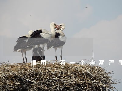 信用卡有一个逾期严重吗 信用卡有一个逾期严重吗