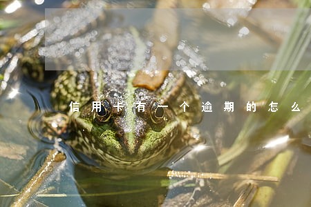 信用卡有一个逾期的怎么办 信用卡有一个逾期的怎么办