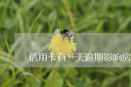 信用卡有一天逾期影响房贷吗