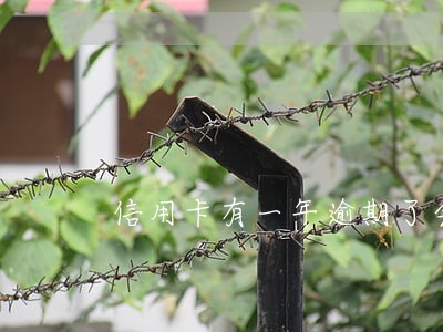 信用卡有一年逾期了会怎么样 信用卡有一年逾期了会怎么样