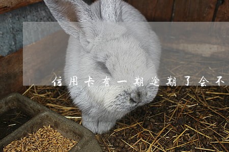 信用卡有一期逾期了会不会影响信用 信用卡有一期逾期了会不会影响信用
