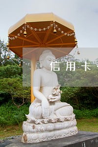 信用卡有一期逾期还款