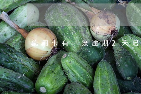 信用卡有一条逾期2天记录吗 信用卡有一条逾期2天记录吗