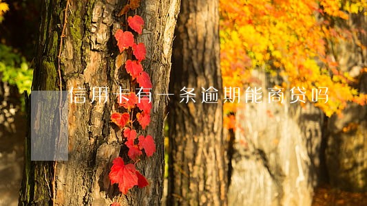 信用卡有一条逾期能商贷吗 信用卡有一条逾期能商贷吗