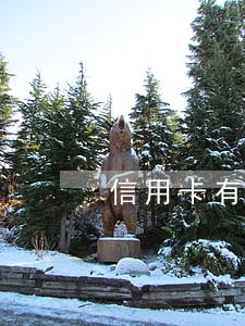信用卡有一条逾期记录没有事吧 信用卡有一条逾期记录没有事吧