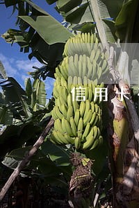 信用卡有一次逾期了 信用卡有一次逾期了