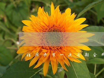 信用卡有一次逾期会影响大吗 信用卡有一次逾期会影响大吗