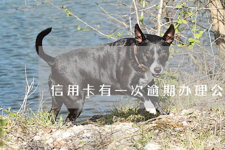 信用卡有一次逾期办理公积金 信用卡有一次逾期办理公积金