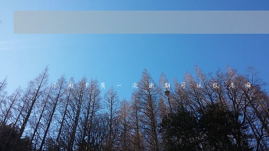 信用卡有一次逾期可以改名嘛 信用卡有一次逾期可以改名嘛