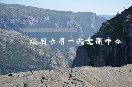 信用卡有一次逾期咋办 信用卡有一次逾期咋办